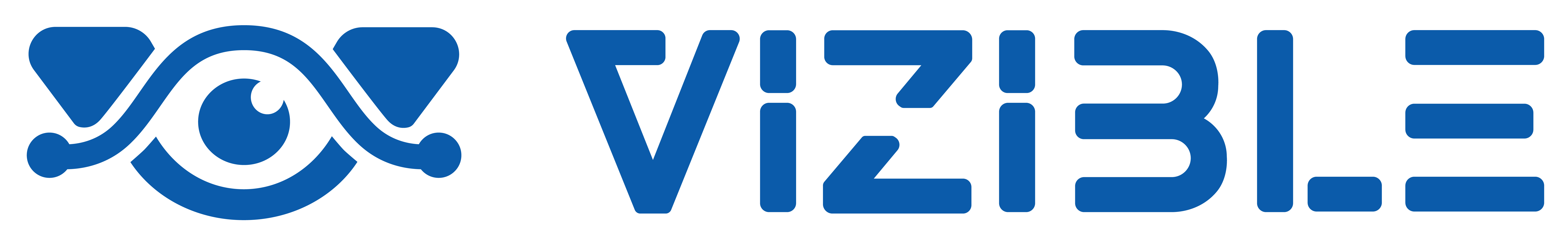 VIZIBLE